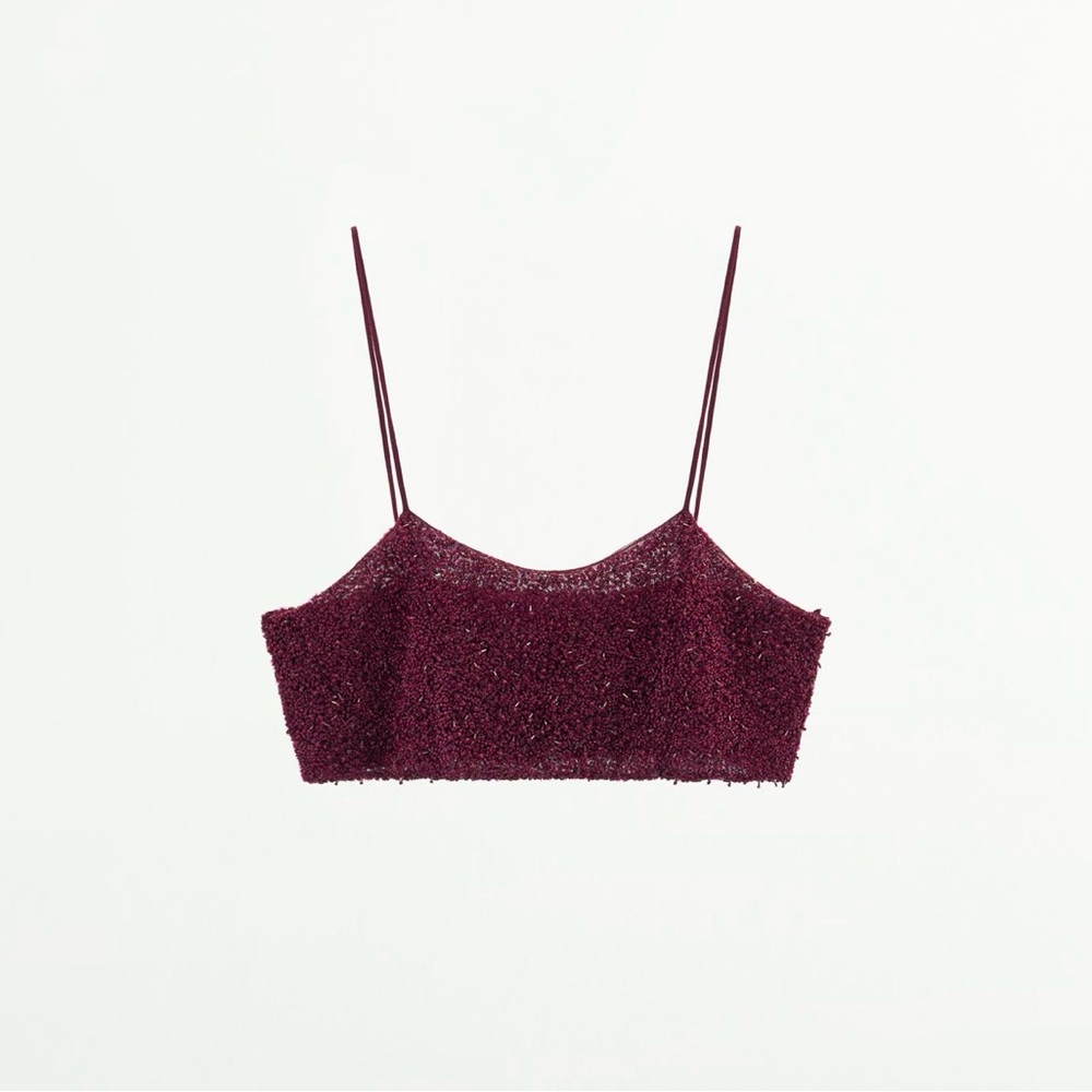 ZARA Burgundy Sequin Crop Top